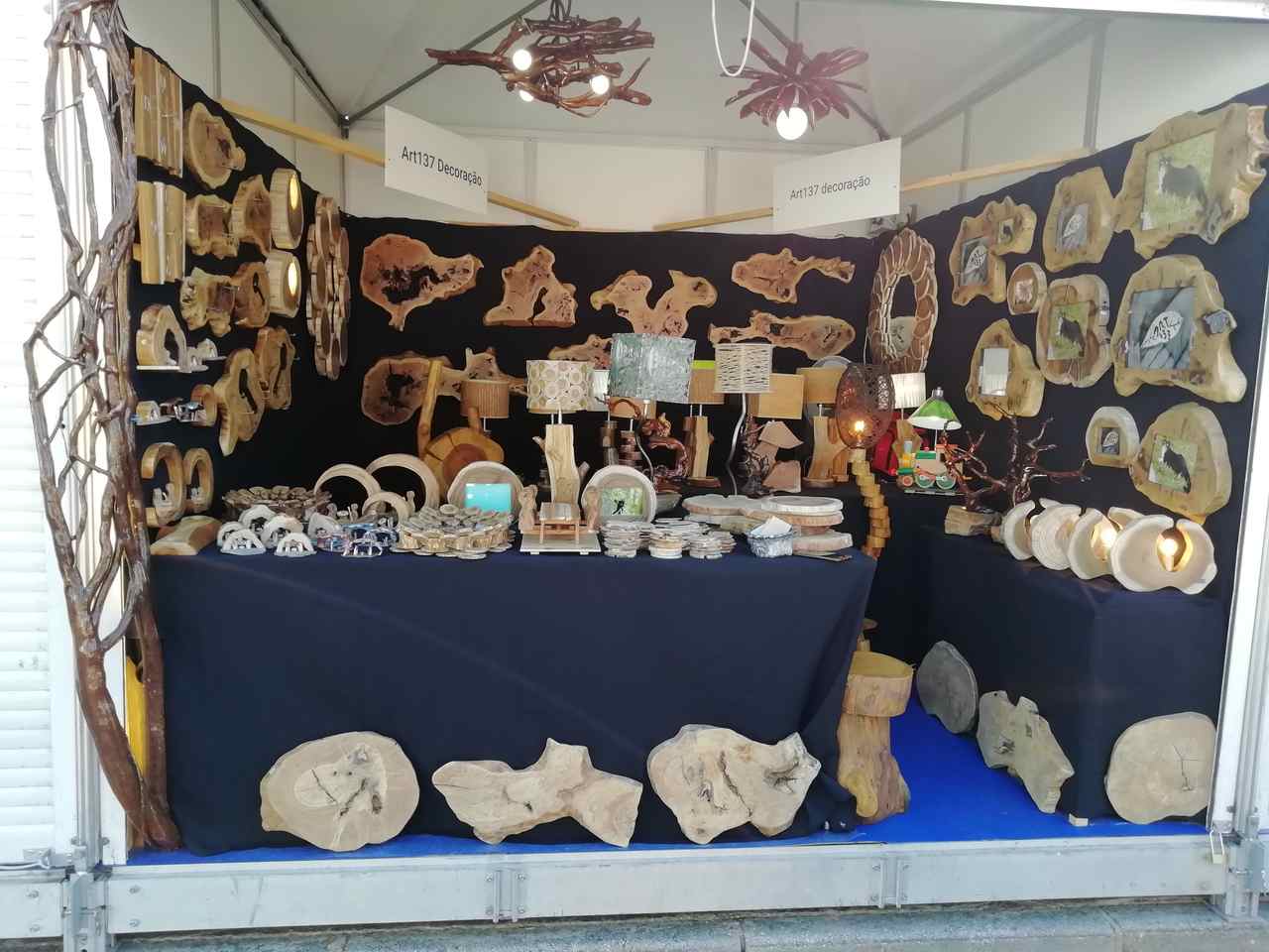 ART137 - FATACIL - Lagoa 2019