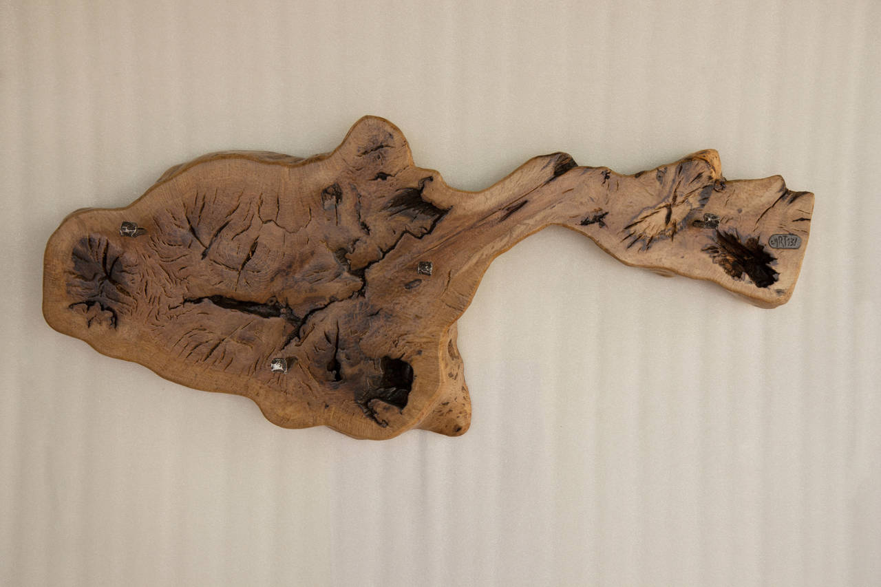 Wall Decoration with Coat Stand | SimilitudeXI