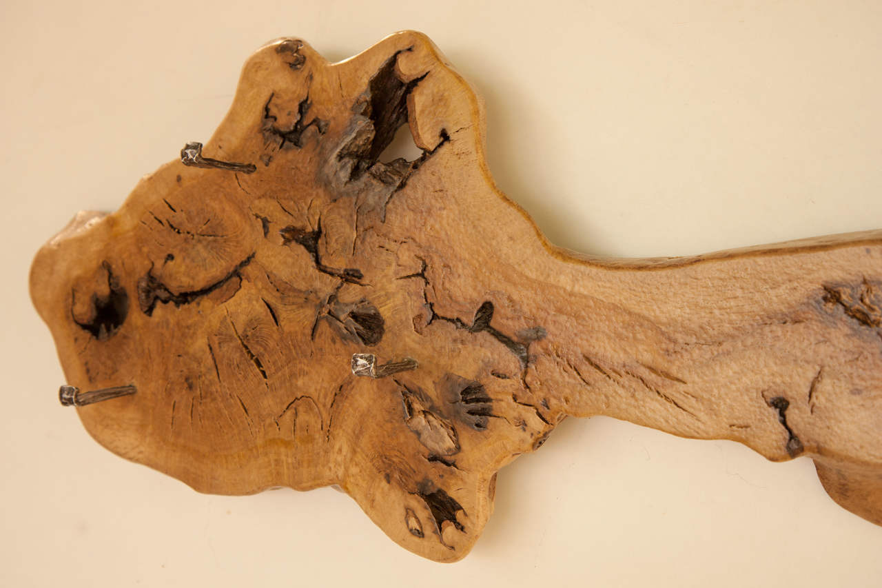 Wall Decoration with Coat Stand | SimilitudeII