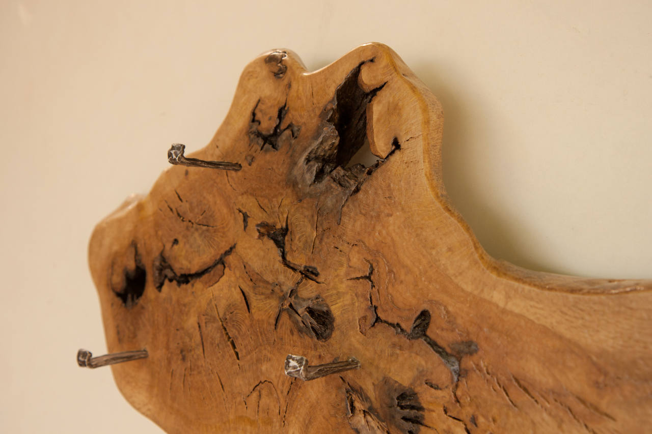 Wall Decoration with Coat Stand | SimilitudeII