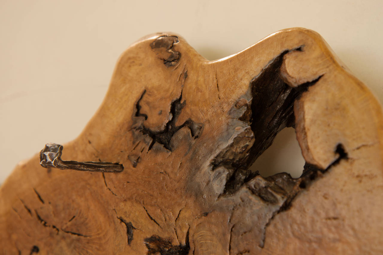 Wall Decoration with Coat Stand | SimilitudeII