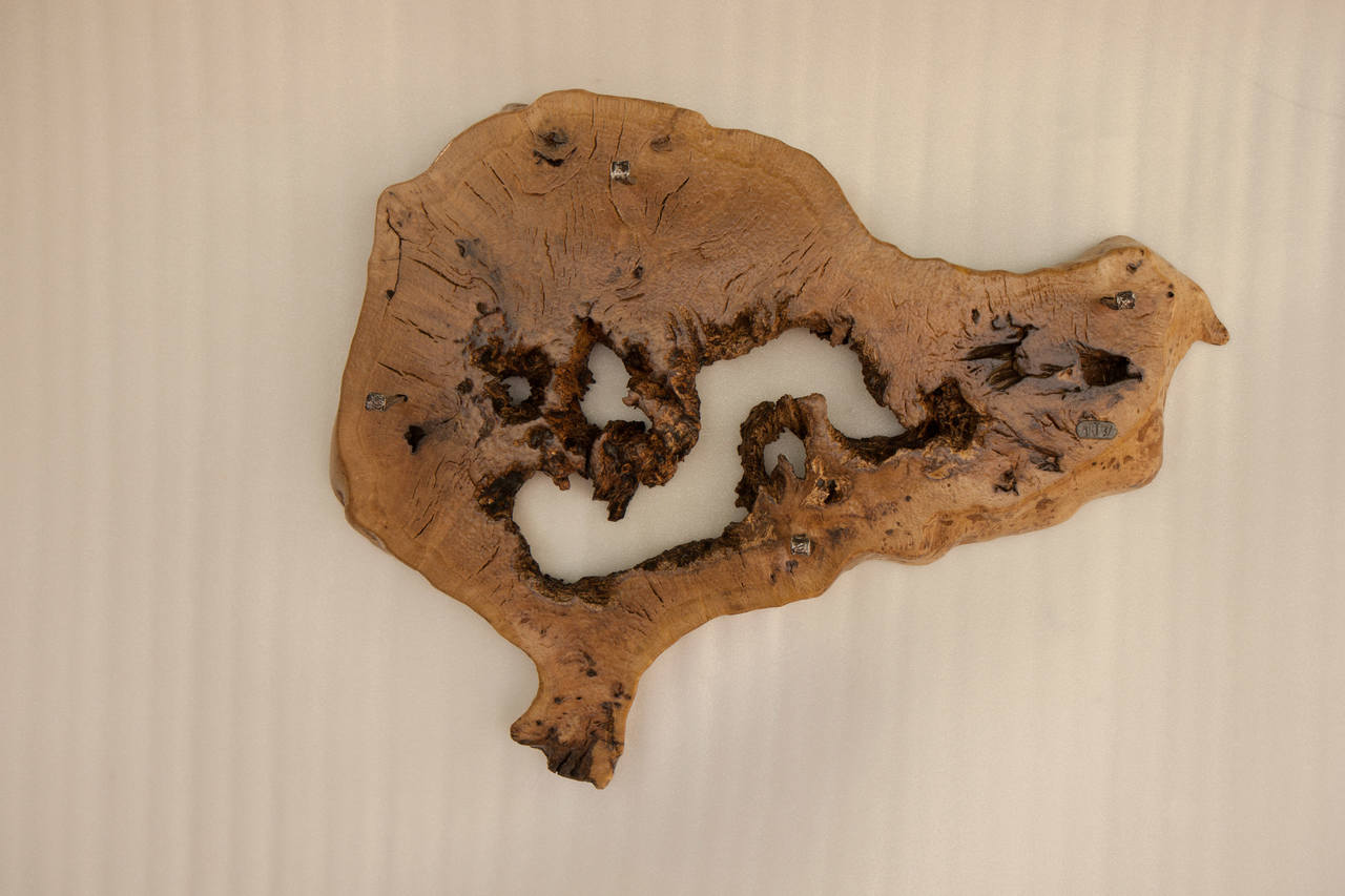 Wall Decoration with Coat Stand | SimilitudeIX