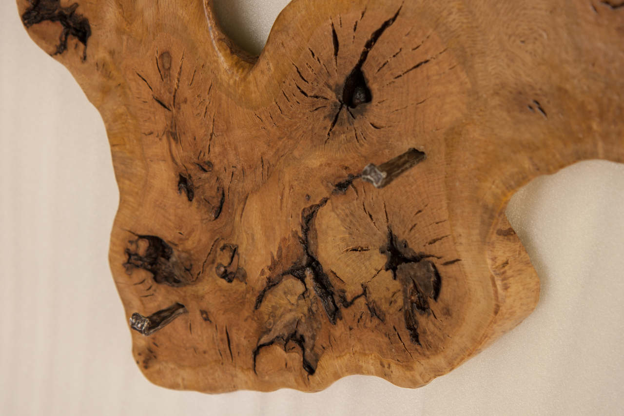 Wall Decoration with Coat Stand | SimilitudeXII