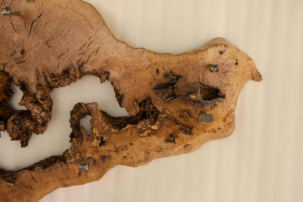 Wall Decoration with Coat Stand | SimilitudeIX