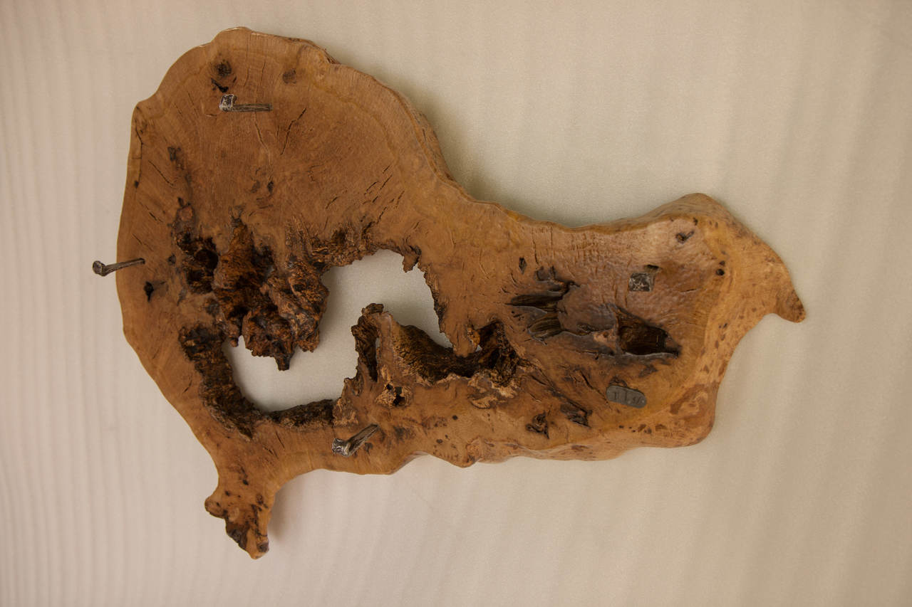 Wall Decoration with Coat Stand | SimilitudeIX