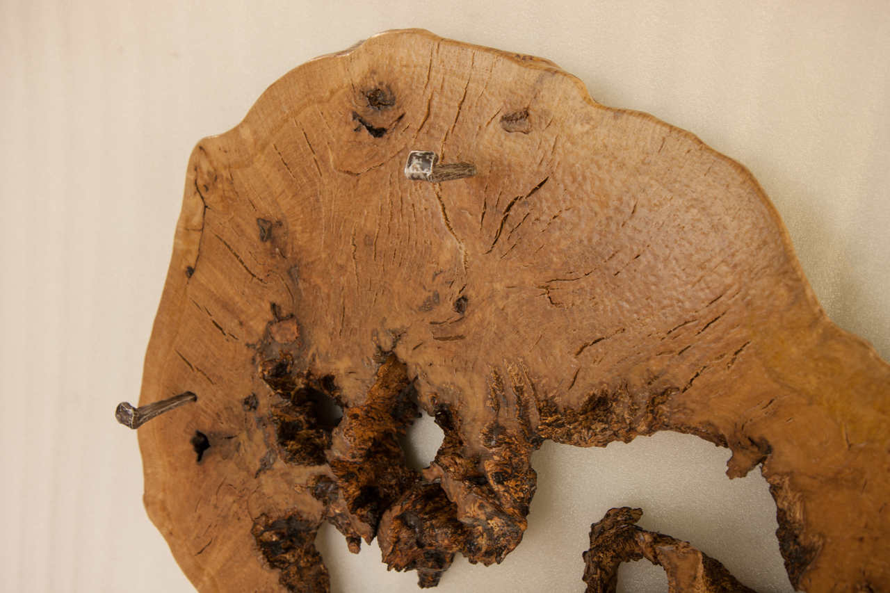 Wall Decoration with Coat Stand | SimilitudeIX