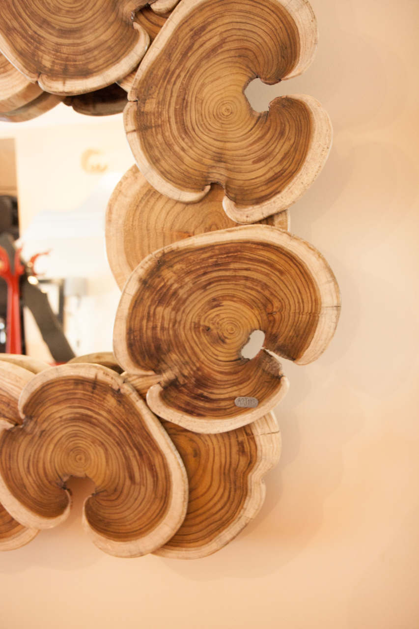 Wood Mirror | bromeliaI