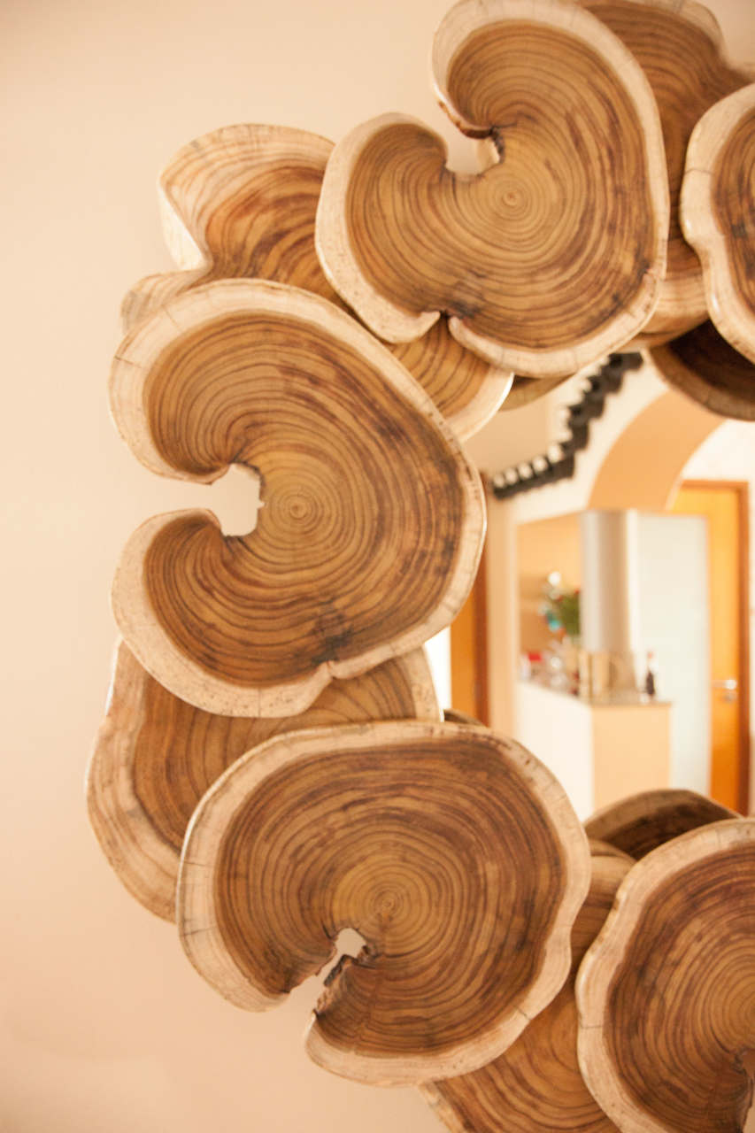 Wood Mirror | bromeliaII