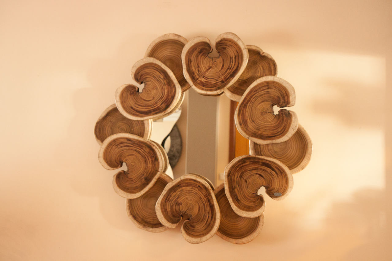 Wood Mirror | bromeliaIII