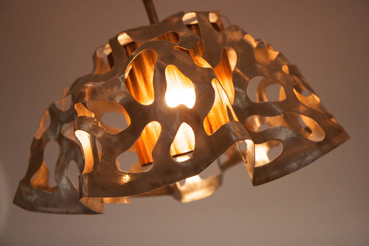 Candeeiro de Tecto | Narcissusjonquilla