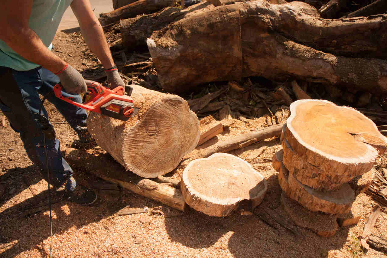 ART137 - A Alma da sua decoração