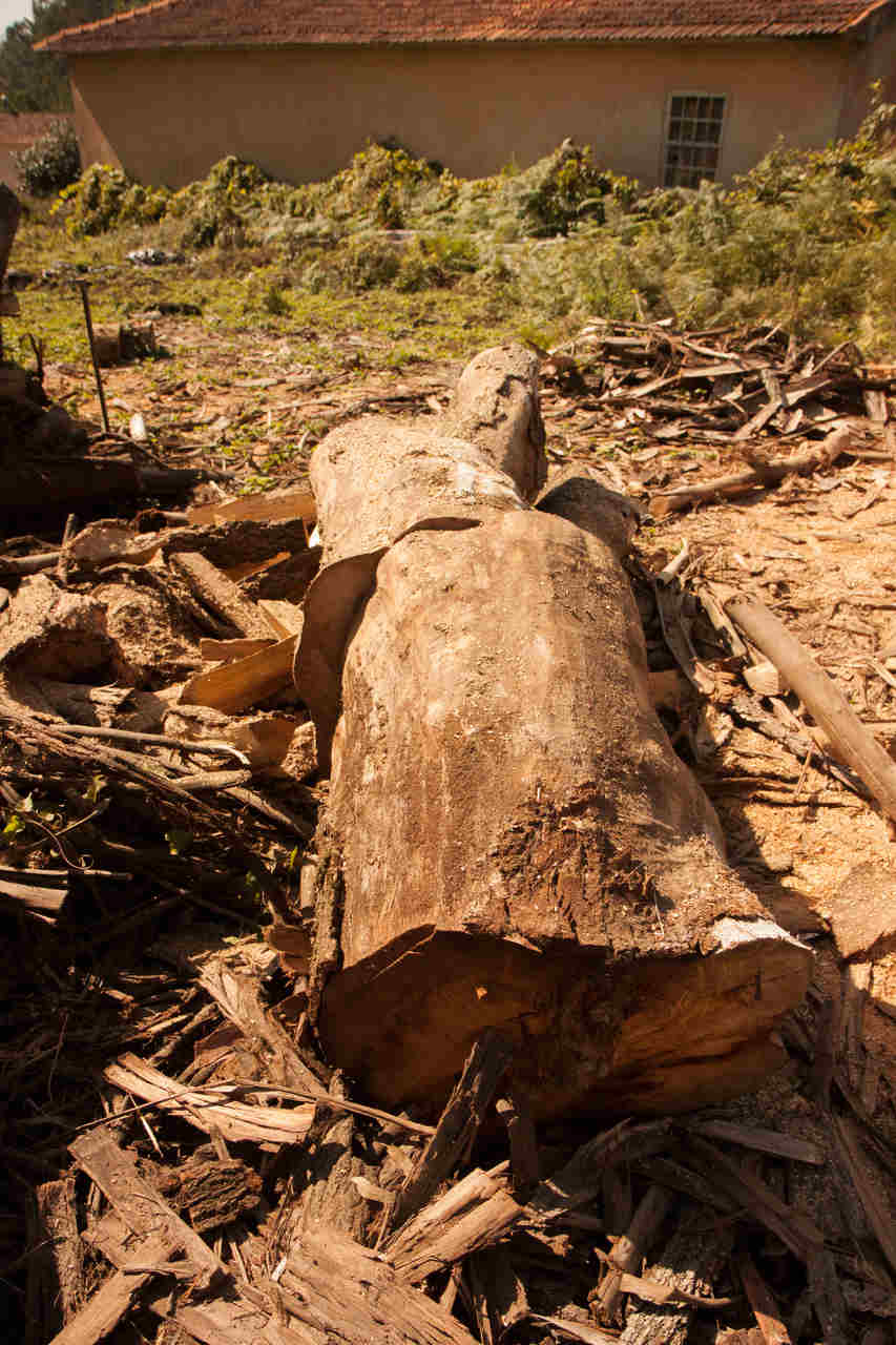 ART137 - A Alma da sua decoração