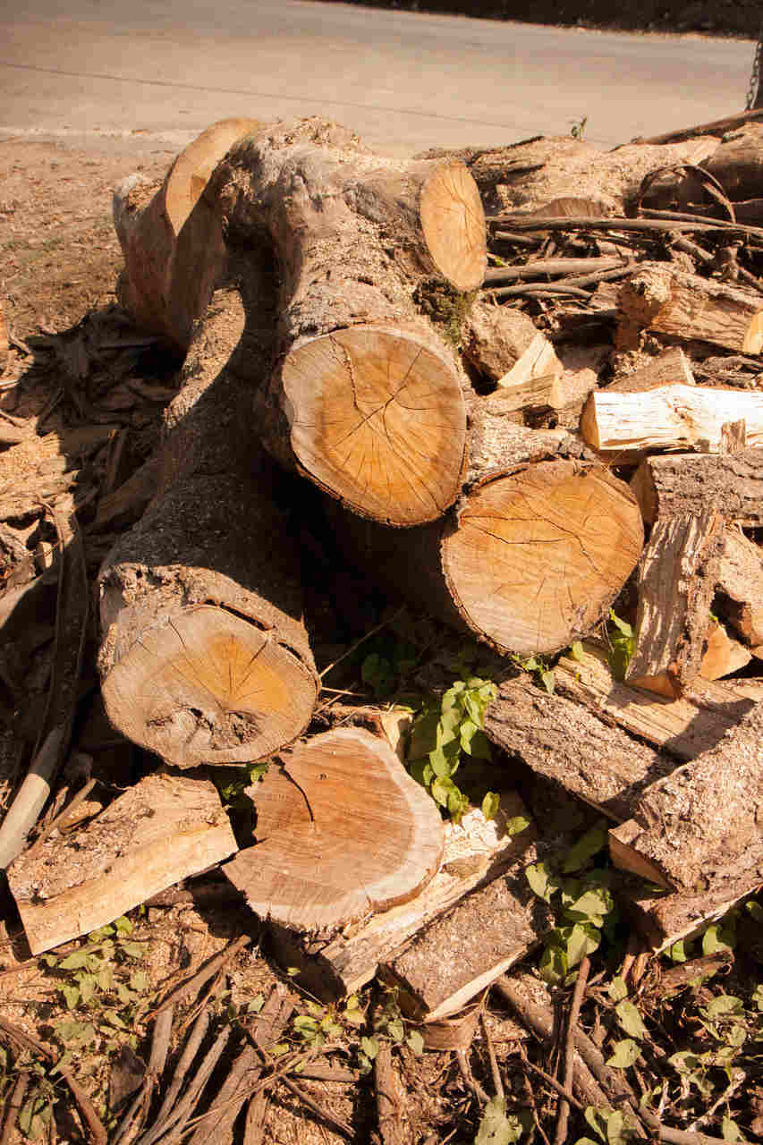 ART137 - A Alma da sua decoração